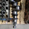 International DT466 Crankshaft thumbnail 4