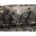 International DT466 Cylinder Head thumbnail 10