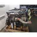 International DT466 Engine Assembly thumbnail 5