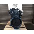 International DT466 Engine Assembly thumbnail 5