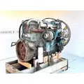 International DT466 Engine Assembly thumbnail 5