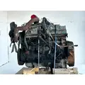International DT466 Engine Assembly thumbnail 5