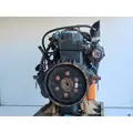 International DT466 Engine Assembly thumbnail 10