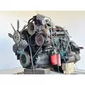 International DT466 Engine Assembly thumbnail 7