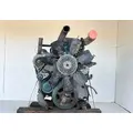 International DT466 Engine Assembly thumbnail 10