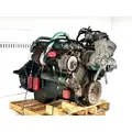International DTA466 Engine Assembly thumbnail 5