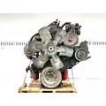 International DTA466 Engine Assembly thumbnail 6