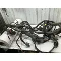 International DURASTAR (4300) Cab Wiring Harness thumbnail 1