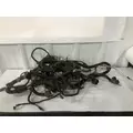 International DURASTAR (4300) Cab Wiring Harness thumbnail 15