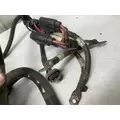 International DURASTAR (4300) Cab Wiring Harness thumbnail 9