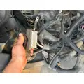 International DURASTAR (4300) Cab Wiring Harness thumbnail 3