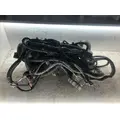 International DURASTAR (4300) Cab Wiring Harness thumbnail 2