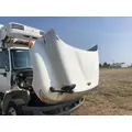 International DURASTAR (4300) Hood thumbnail 8