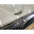International DURASTAR (4400) Hood thumbnail 15