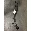 Used Engine Wiring Harness INTERNATIONAL DT 466EGR for sale thumbnail