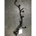 Used Engine Wiring Harness INTERNATIONAL DT 466EGR for sale thumbnail