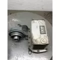 USED Engine Oil Cooler INTERNATIONAL DT466E   for sale thumbnail