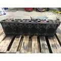 USED Cylinder Head INTERNATIONAL DT530E for sale thumbnail