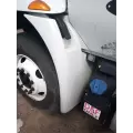 International DuraStar 4300 Fender Extension thumbnail 1
