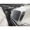 International DuraStar 4300 Grille thumbnail 3