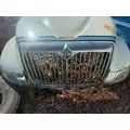 USED Grille INTERNATIONAL Durastar for sale thumbnail