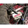 International LONESTAR Body Wiring Harness thumbnail 4