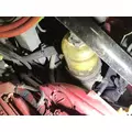 International LONESTAR Fuel Filter Assembly thumbnail 1