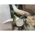 International LONESTAR Windshield Washer Reservoir thumbnail 1
