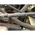 International LT Radiator Core Support thumbnail 2