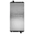NEW Radiator International LONESTAR for sale thumbnail