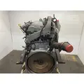 International MAXXFORCE 13 Engine Assembly thumbnail 3