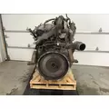 International MAXXFORCE 13 Engine Assembly thumbnail 4