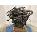 International MAXXFORCE 13 Engine Assembly thumbnail 6