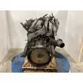 International MAXXFORCE 13 Engine Assembly thumbnail 10