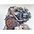 International MAXXFORCE 7 Engine Assembly thumbnail 11