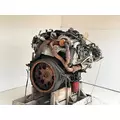 International MAXXFORCE 7 Engine Assembly thumbnail 2