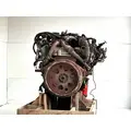 International MAXXFORCE 7 Engine Assembly thumbnail 6