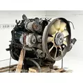 International MAXXFORCE 7 Engine Assembly thumbnail 10