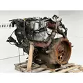 International MAXXFORCE 7 Engine Assembly thumbnail 6