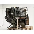 International MAXXFORCE 7 Engine Assembly thumbnail 7