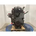 International MAXXFORCE 9 Engine Assembly thumbnail 4