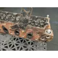 International MAXXFORCE DT466 Cylinder Head thumbnail 8