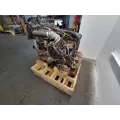 International MAXXFORCE DT466 Engine Assembly thumbnail 8