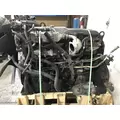 International MAXXFORCE DT Engine Assembly thumbnail 3