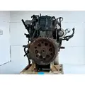 International MAXXFORCE DT Engine Assembly thumbnail 8