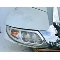 International MV607 Hood thumbnail 10