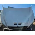 International MV607 Hood thumbnail 4