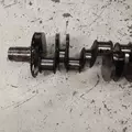 International MaxxForce7 Crankshaft thumbnail 11