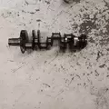 International MaxxForce7 Crankshaft thumbnail 12