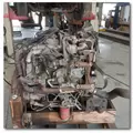 International MaxxForce7 Engine Assembly thumbnail 17